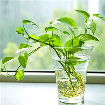飘渺世界手游破解版下载